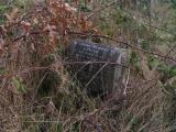 image of grave number 319752